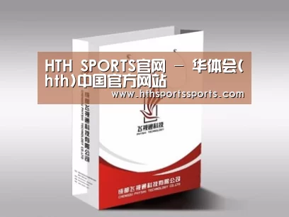 项目名称十三