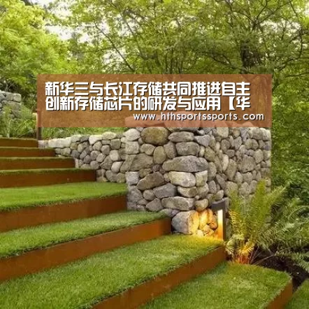 新华三与长江存储共同推进自主创新存储芯片的研发与应用【华体会官网】(图2) 华体会体育官网