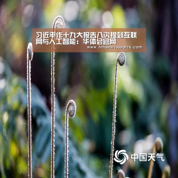 华体会体育