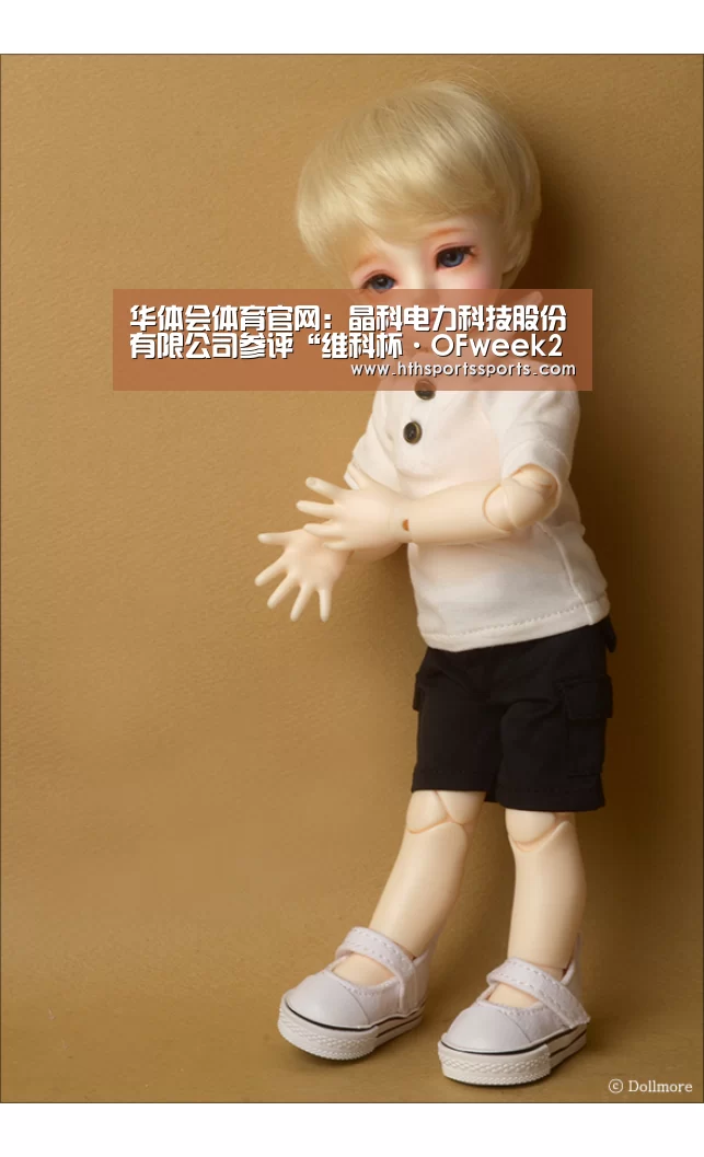 华体会体育官网:晶科电力科技股份有限公司参评“维科杯·OFweek2019卓越光伏智能运维服务商”(图2) 华体会体育官网